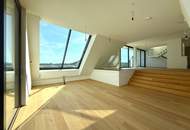 ERSTBEZUG MIT BADESTEG AM WASSER: Ruhelage mit Fernblick über die Donau I großzügige Terrassen &amp; geräumige Wohnküche