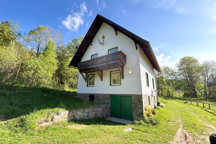 Einzigartiges Juwel für Naturliebhaber!, Haus-miete, 990,00,€, 8731 Murtal