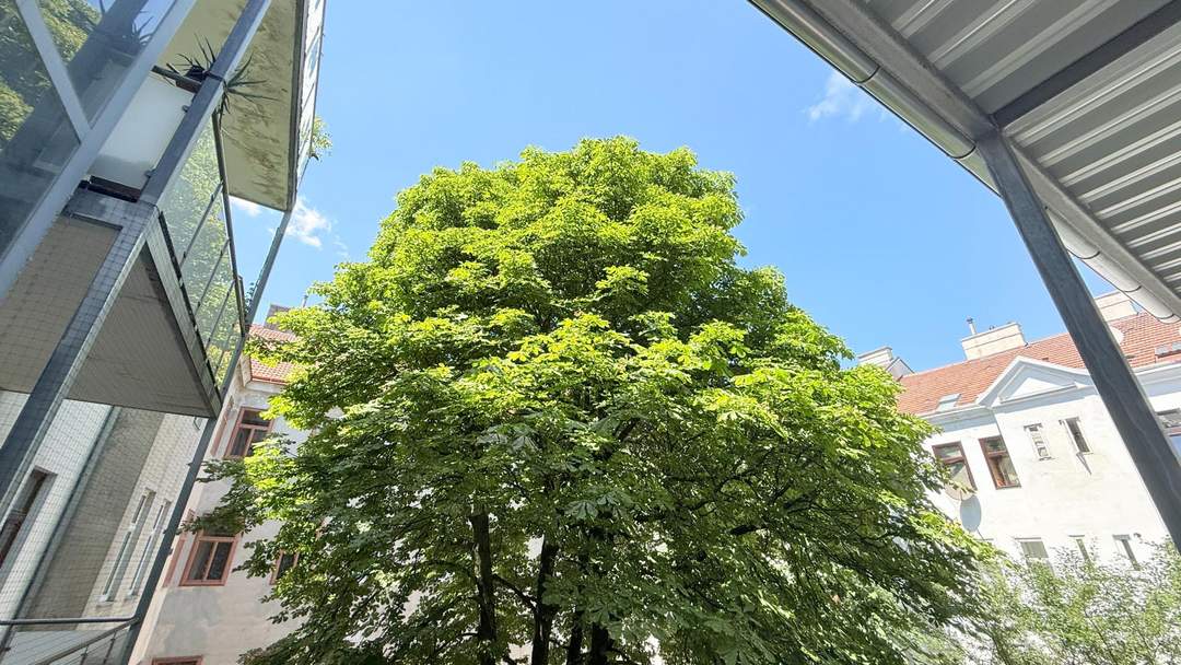 Elegante Altbauwohnung mit Balkon – Wohnen nahe dem Augarten