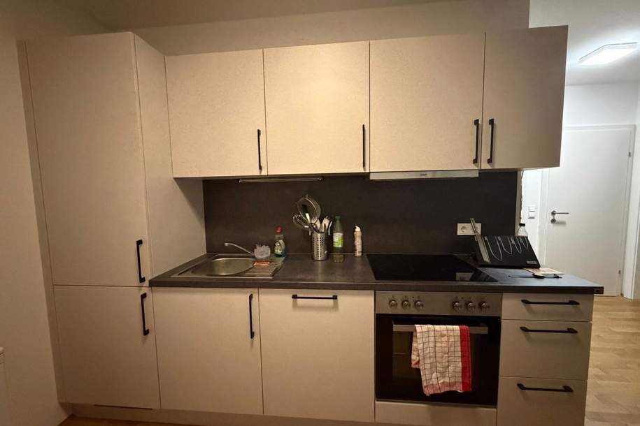 Attraktive Mietwohnung im Zentrum von Leibnitz sucht neuen Mieter, Wohnung-miete, 804,63,€, 8430 Leibnitz