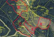 Preisanpassung !! Weingarten mit Landwirtschaft und Altbestand in Kranach, Gemeinde Gamlitz