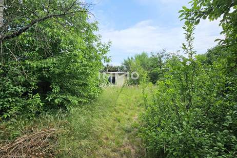 Platz für Wohnträume – großes, erschlossenes Grundstück mit Altbestand - für Familie oder Projektbau, Grund und Boden-kauf, 489.000,€, 2603 Wiener Neustadt(Land)