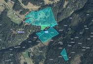 9ha Waldfläche in Kaning