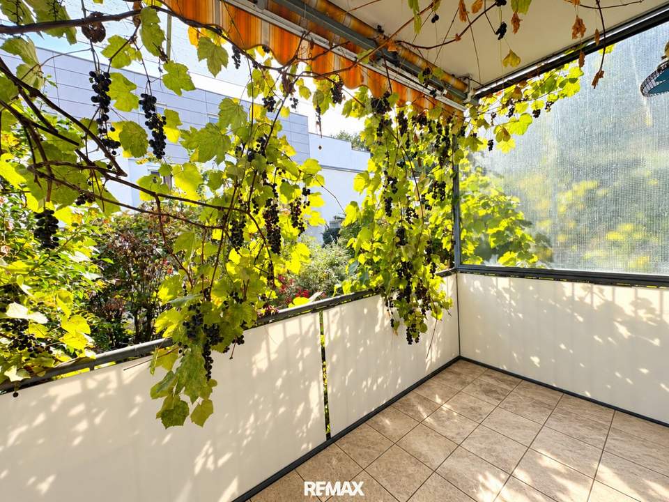 Wohnen im Grünen mit Reihenhauscharakter – 3-Zimmer-Wohnung in St. Peter