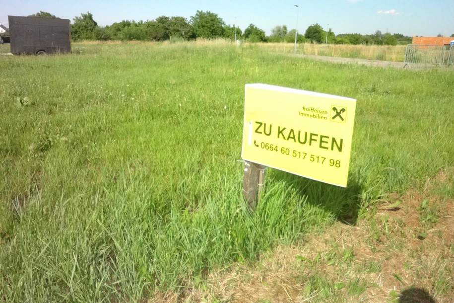 Leistbares Eckgrundstück, aufgeschlossen mit Bauzwang bis 2029 !, Grund und Boden-kauf, 175.000,€, 7083 Eisenstadt-Umgebung
