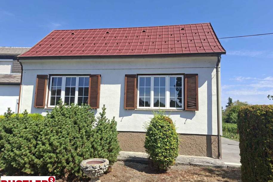 So viele Möglichkeiten - Purbach am Neusiedler See, Haus-kauf, 950.000,€, 7083 Eisenstadt-Umgebung