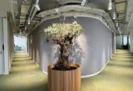 | AUSTRO TOWER | repräsentativer Bürostandort in markantem Hochhaus