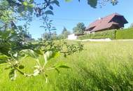 Sonniges Grundstück am Waldrand sehr idyllisch am Bach