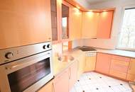 "++ BlickInsGrüne ++"