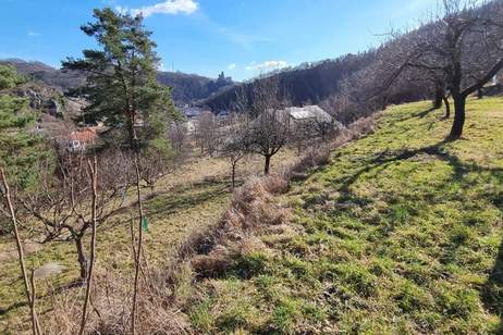 RARITÄT IN SENFTENBERG - GELEGENHEIT AUF EINEN WEINKELLER MIT SCHÖNEM KELLERGEBÄUDE, KELLERRÖHRE SOWIE GARTENHAUS AUF HERRLICHEM TEILWEISE ALS BAULAND GEWIDMETEN GRUNDSTÜCK, Grund und Boden-kauf, 75.000,€, 3541 Krems(Land)