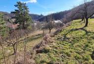 RARITÄT IN SENFTENBERG - GELEGENHEIT AUF EINEN WEINKELLER MIT SCHÖNEM KELLERGEBÄUDE, KELLERRÖHRE SOWIE GARTENHAUS AUF HERRLICHEM TEILWEISE ALS BAULAND GEWIDMETEN GRUNDSTÜCK