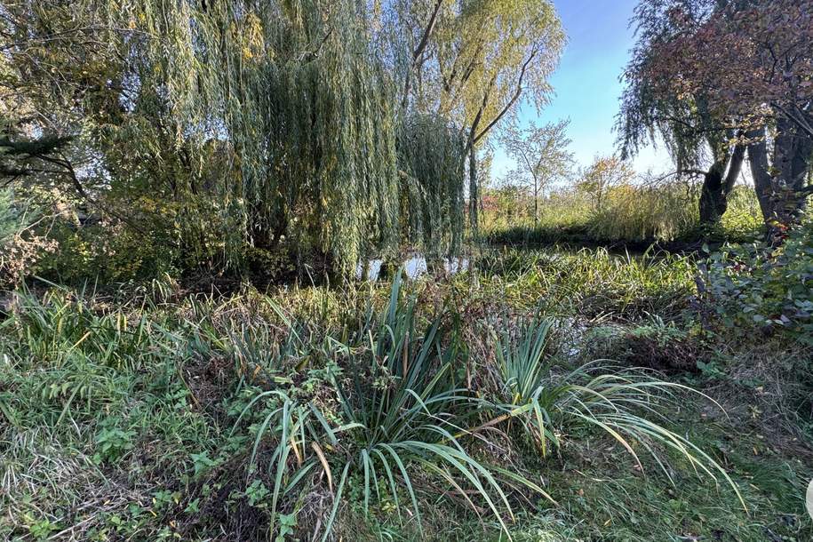 Tolles Grundstück in Biedermannsdorf, Grund und Boden-kauf, 1.399.000,€, 2362 Mödling