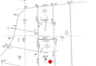 Verbuschtes Baugrundstück in Hanglage ohne Bauzwang !