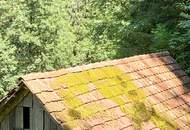 Rückzugsort mit 2.100 m² Grund in Ligist – kleines Bauernhaus für Aussteiger, Wochenendnutzer oder Neudenker