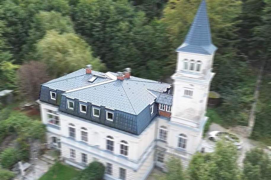 Exklusives Dachgeschoß-Juwel in Turmvilla mit großem Gartenanteil, Wohnung-kauf, 390.000,€, 3021 Sankt Pölten(Land)