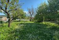 Bezauberndes Einfamilienhaus mit wundervollem Garten