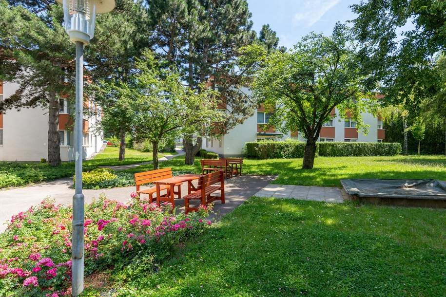 "3-Zimmer-Wohnung in der Matthias-Ernst-Pista-Gasse - Grüner Blick, Ruhig, Nähe Heurigen von Strebersdorf", Wohnung-kauf, 299.000,€, 1210 Wien 21., Floridsdorf