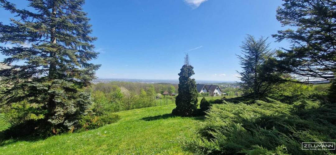 Seltene Gelegenheit: Winzerhaus auf uneinsehbarem Grundstück | ZELLMANN IMMOBILIEN