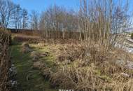 Baugrundstück in Kobernaußen ohne Bauzwang