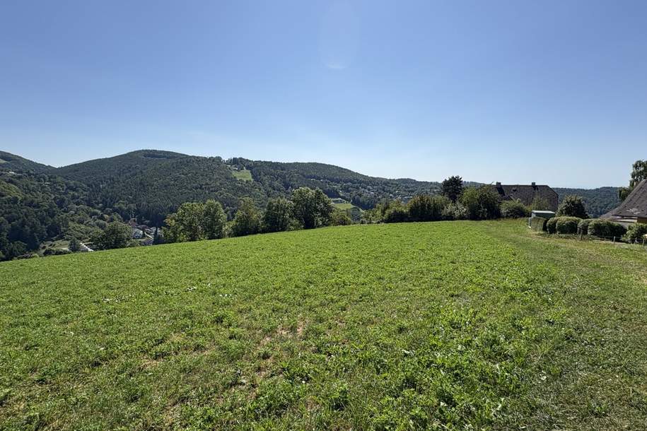 Top-Lage! Grundstück mit ca. 1.533 m² in Andritz – traumhafter Ausblick in ruhiger Sonnenlage!, Grund und Boden-kauf, 438.500,€, 8045 Graz(Stadt)