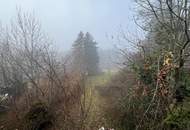 Sanierungsbedürftiges Haus auf großem Grundstück! Erwecken Sie es aus dem Dornröschenschlaf!