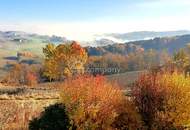 Provisionsfrei! Traumhafter Weitblick bis zur Riegersburg