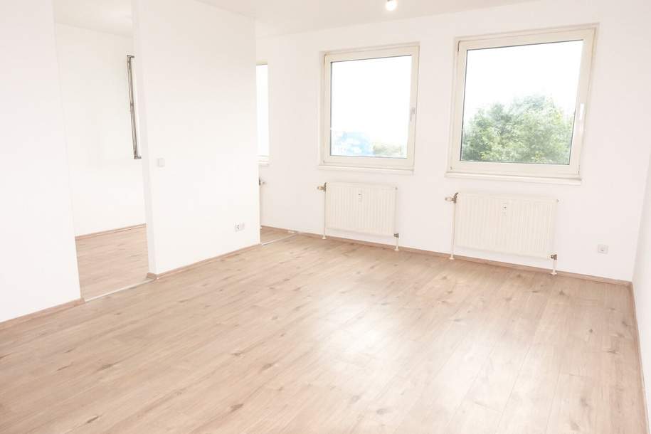 Großzügige Garçonnière - zwischen Matzleinsdorfer Platz und Waldmüllerpark, Wohnung-miete, 764,72,€, 1100 Wien 10., Favoriten