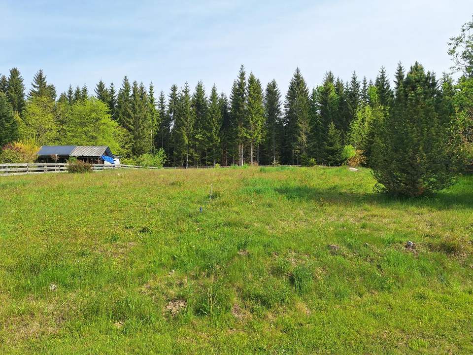Schöner, ruhiger und großer Baugrund in Preitenegg - 1.100 m ü. A.