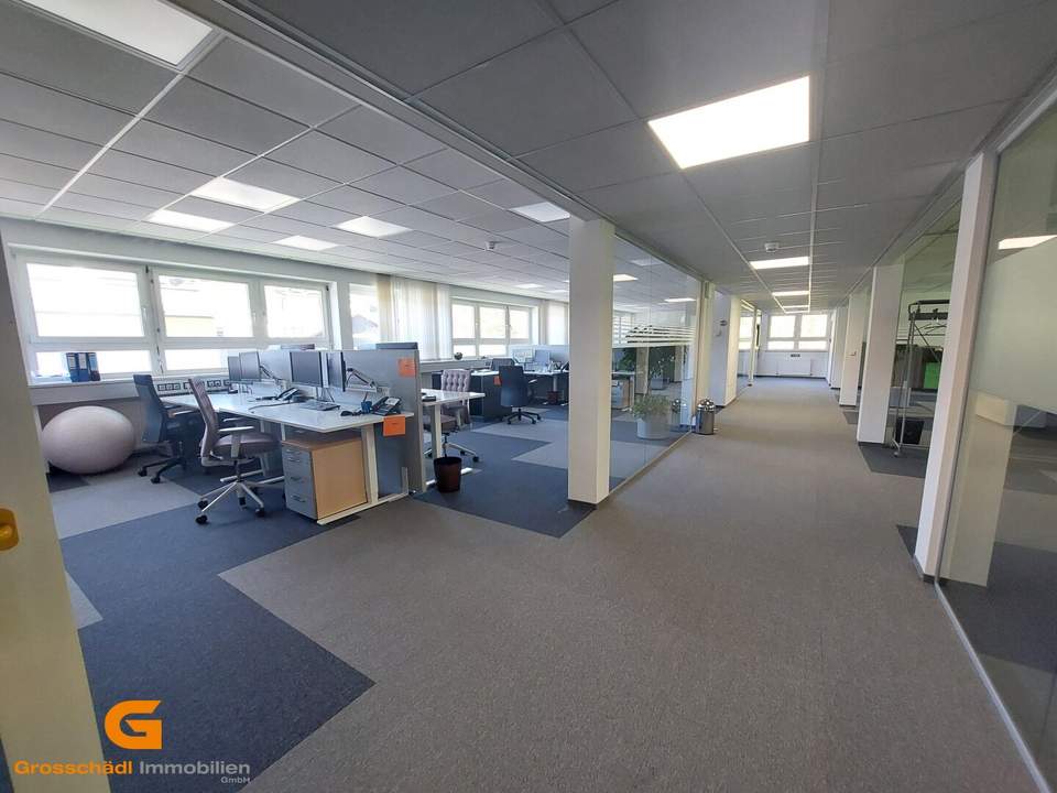 Arbeiten, wo Ideen Raum haben: Ihr neuer Unternehmensstandort nahe Puch Urstein mit lichtdurchfluteten Büros