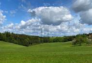LEICHTE HANGLAGE MIT TRAUMAUSSICHT IN DIE NATUR