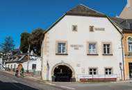 FIRMENSITZ - GESCHÄFTSADRESSE mit Einzel-Arbeitsplatz und Internet! Monatlich ab € 99,-- an TOPADRESSE in DÖBLING!