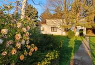 Ein Haus für kreative Köpfe