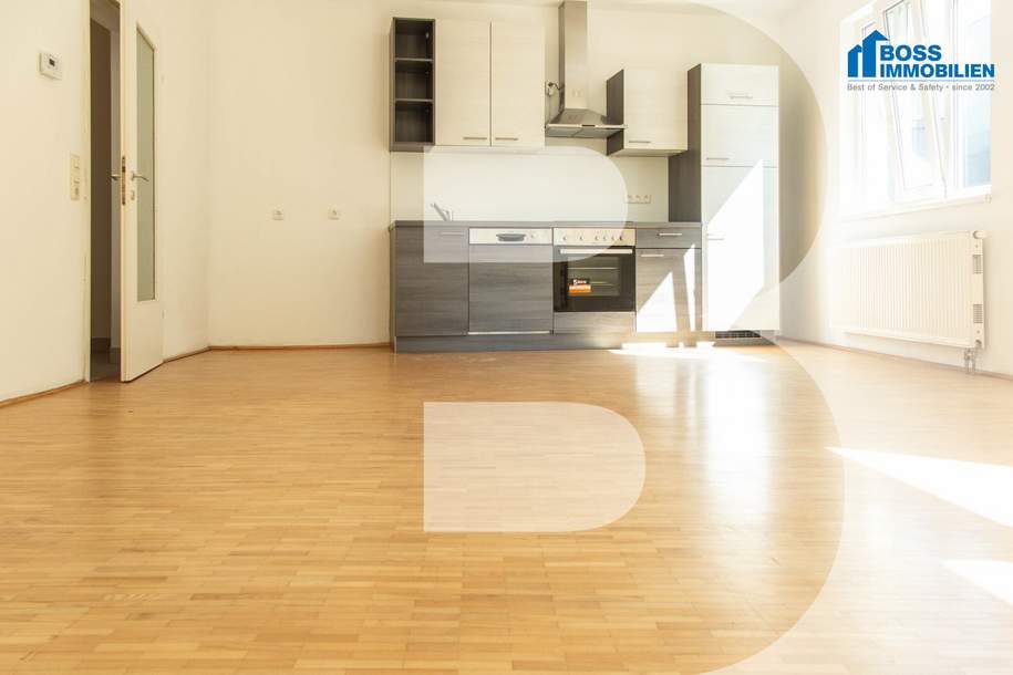 Luminosa, Wohnung-miete, 676,00,€, 4600 Wels(Stadt)