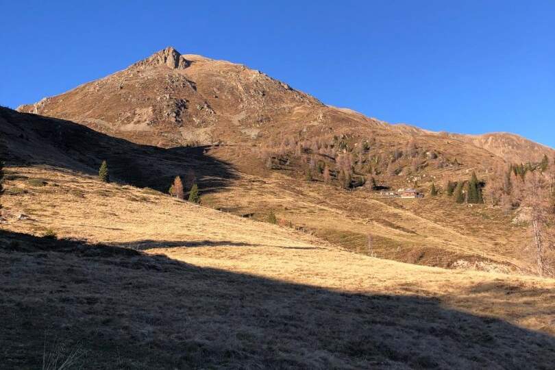 5,8 ha Almgrundstück im Mölltal zu vekaufen, Gewerbeobjekt-kauf, 66.000,€, 9832 Spittal an der Drau