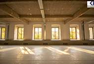 LOFT-BÜRO im "FABIANI-HAUS"