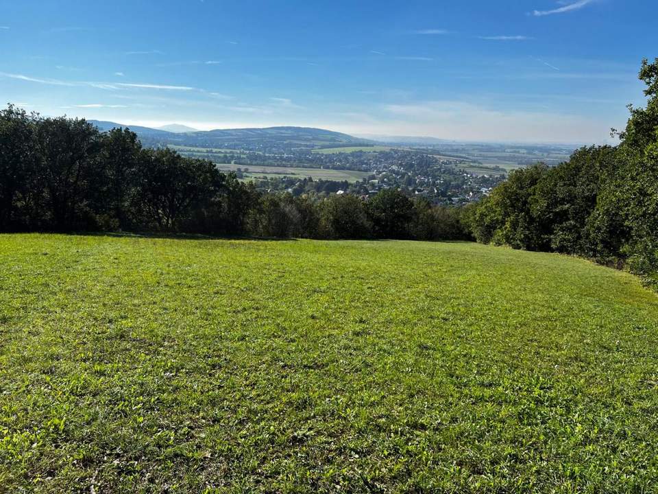 "IN KAUFABWICKLUNG!" GRÜNLAND IN TULBING