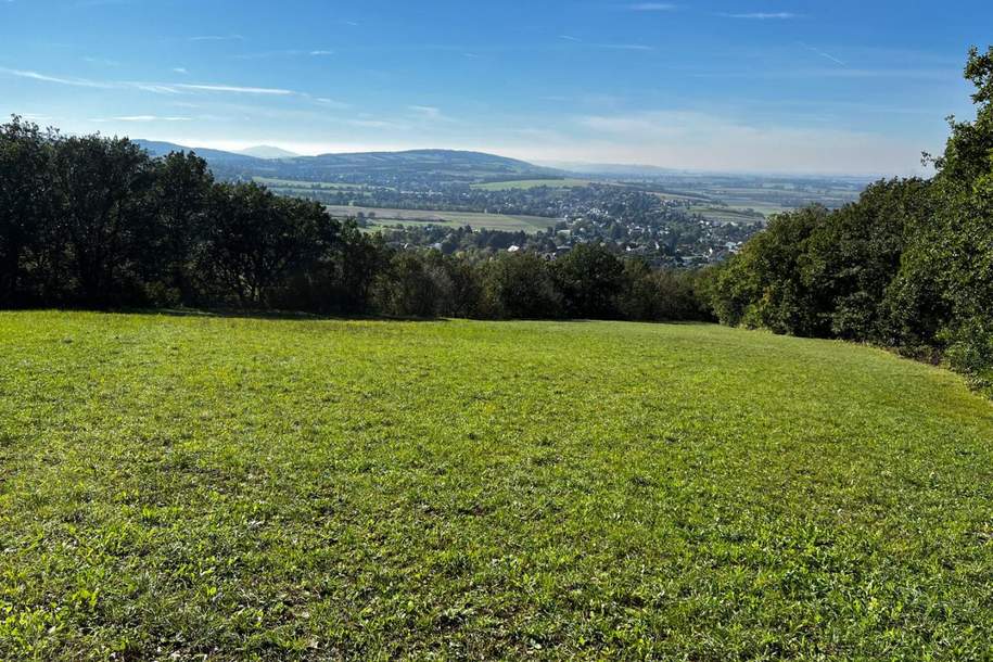 "IN KAUFABWICKLUNG!" GRÜNLAND IN TULBING, Grund und Boden-kauf, 98.000,€, 3434 Tulln