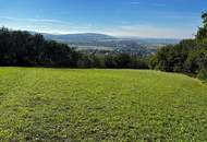 "IN KAUFABWICKLUNG!" GRÜNLAND IN TULBING