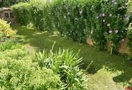 Attraktive 4-Zimmer-Gartenwohnung mit ca. 190m² Eigengarten und Carport in Klosterneuburg