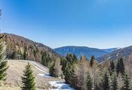 ALM-CHALET 1 - Freizeitwohnsitz in Toplage