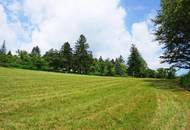 Traumgrundstück in herrlicher Aussichtslage beim Kaiserspitz