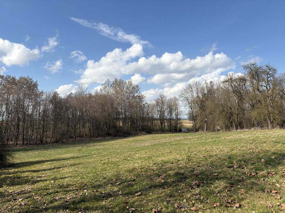 Idyllisches Baugrundstück im Grünen