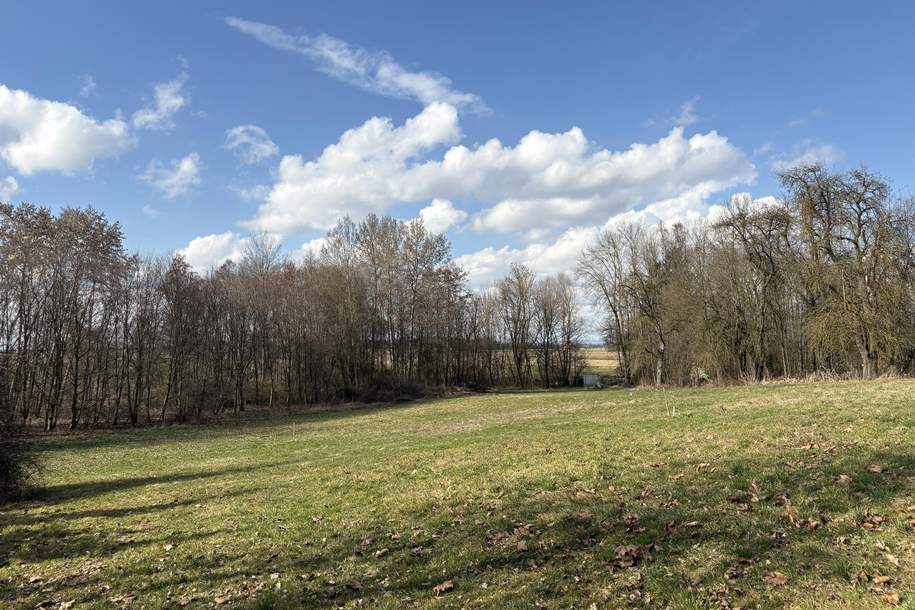 Idyllisches Baugrundstück im Grünen, Grund und Boden-kauf, 68.000,€, 4942 Ried im Innkreis