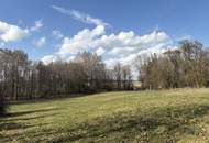 Idyllisches Baugrundstück im Grünen