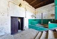 IDYLLISCHER WEINKELLER MIT PRESSHAUS IN DOBERMANNSDORF