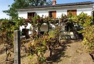 Kellerstöckl mit Weingartenidylle in Markt Neuhodis