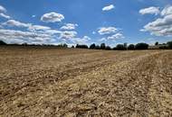 Landwirtschaftlicher Nutzgrund Leonding