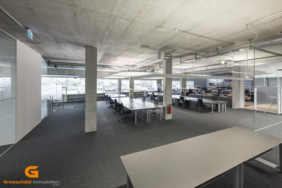 Salzburg Süd - Top Loftstylebüro mieten, Gewerbeobjekt-miete, 5.320,00,€, 5081 Salzburg-Umgebung