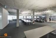 Salzburg Süd - Top Loftstylebüro mieten