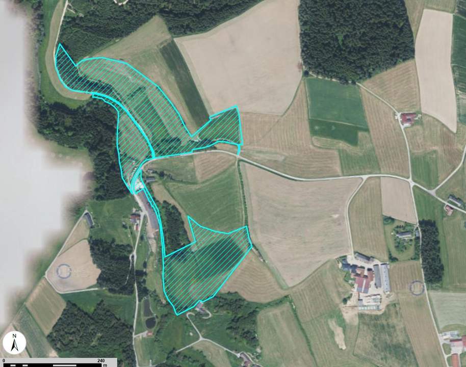 Landwirtschaftliche Flächen, Wald